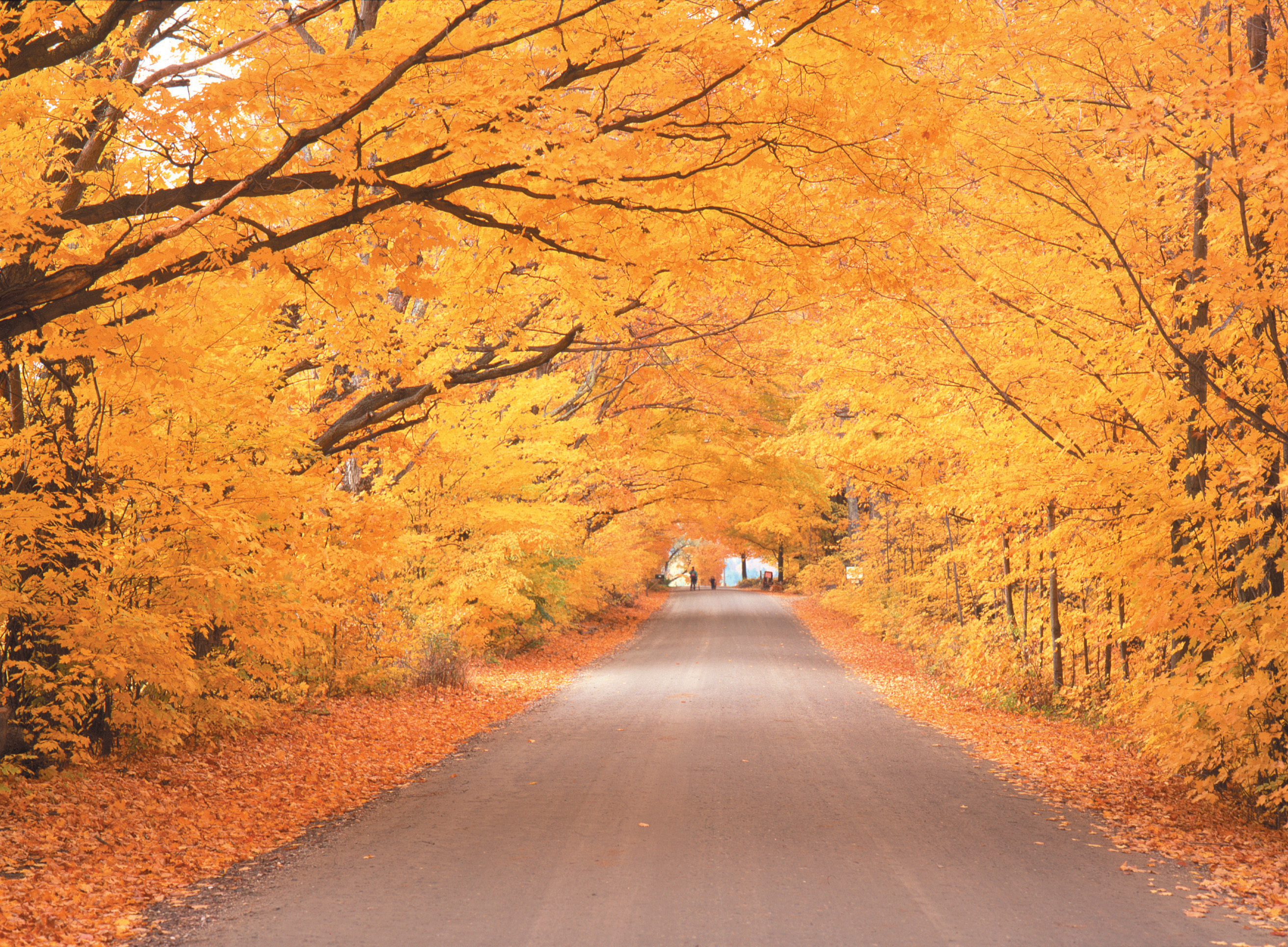 A Fall Weekend In Vermont s Green Mountains TravelLatte