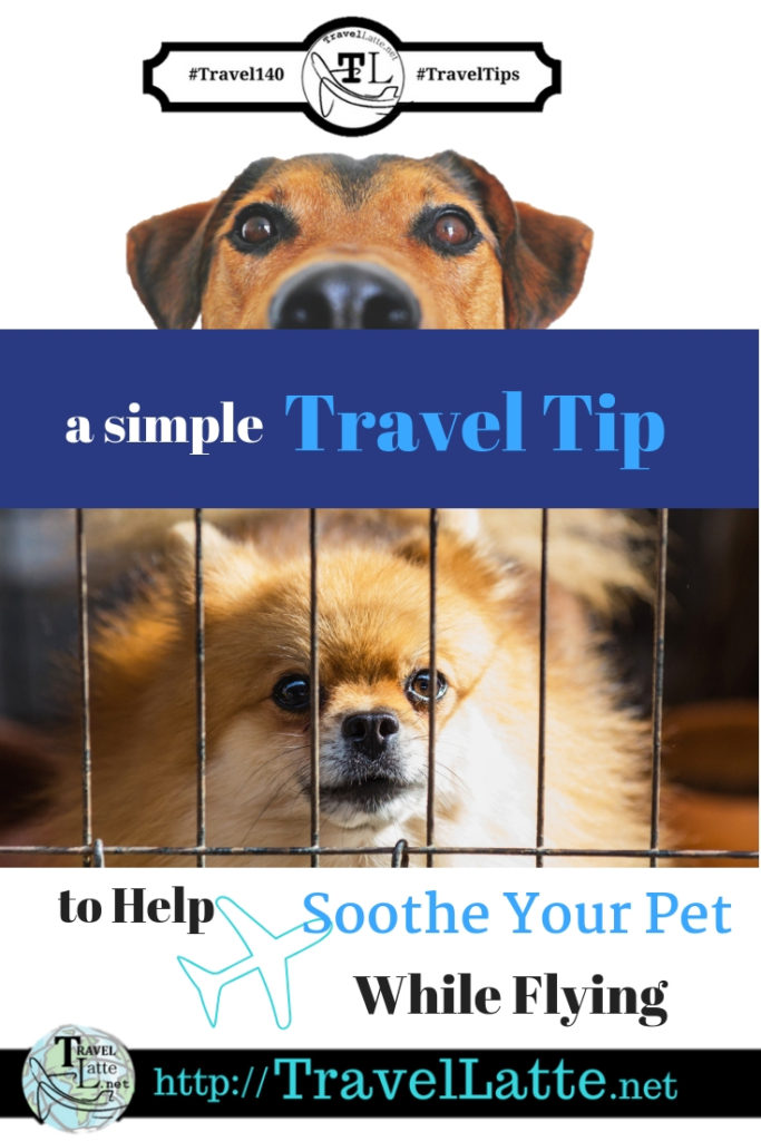 Travel Tips: Help Soothe Your Pet While Flying - TravelLatte